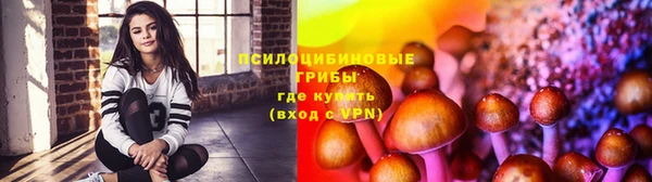 тгк Вяземский