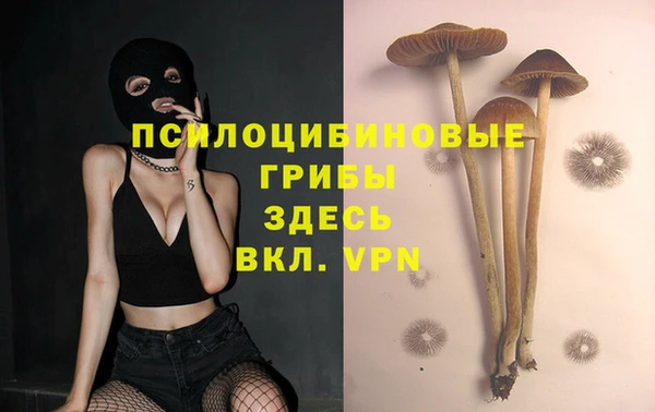 apvp Горнозаводск
