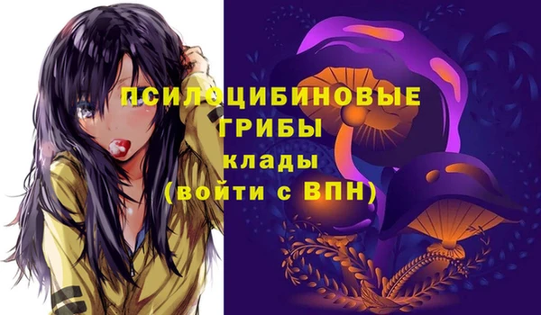 прущая мука Вязники