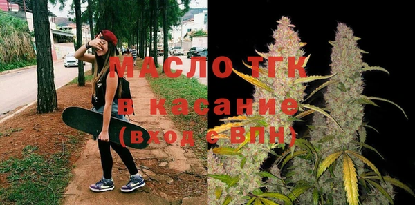 индика Горно-Алтайск