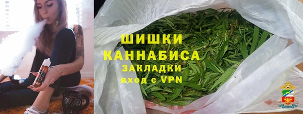 тгк Вяземский